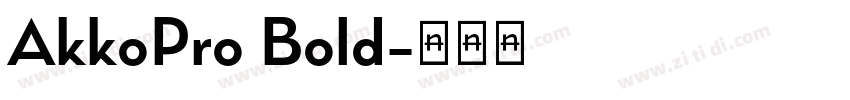 AkkoPro Bold字体转换